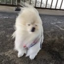 카페당근