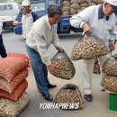 반계2리마을회관 이미지