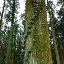 민 목장 이미지