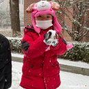 구립 푸른별어린이집 이미지