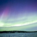 오로라마켓 이미지