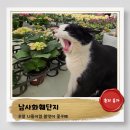 남사-3 | 주말나들이 추천 남사화훼단지 방문후기 내돈내산 봄맞이꽃구매