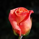 샌드앤드 Sand And 이미지