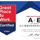 에이앤이글로벌 이미지