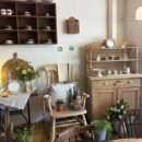 우니카트 이미지