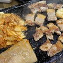 화석시대흑석점 이미지