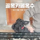 옥수회관 | 제주 애월 감성카페 상주견 있는 골목카페옥수 내돈내산 추천