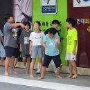 용인대 최강태권도 이미지