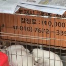 중앙철물점 이미지