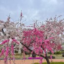 도진리마을회관 이미지