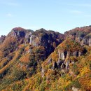 단풍 - 부여군 | 단풍
