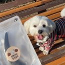 삼멍이네 간식공장 이미지