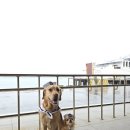 한일교통(주) 이미지