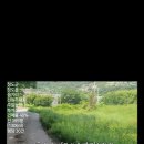 음지리농장 Daum카페