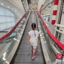 메디팜효자약국 이미지