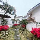 섬그린펜션 이미지