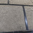 녹차분재로 이미지