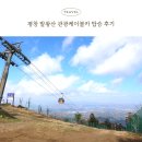 서린카 | 부모님 모시고 가기 좋은 모나용평 평창 발왕산 관광 케이블카 스카이워크 할인 음식점 반려견 동반