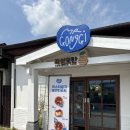 토란이랑기차랑 | 전남 곡성 기차마을 | 토란타르트 미스터공기 선물상자