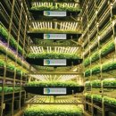 미래팜스 이미지