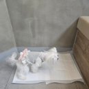 웨스턴5빌딩 이미지