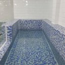 애견부티크 이미지