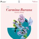 (공연) 메타댄스프로젝트 <카르미나 부라나> 이미지