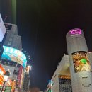 휴맥스 짐 | [공지] 나홀로 도쿄 여행기2 - 신주쿠 라멘 / 시부야 스크램블, 디즈니스토어
