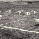 시영이네 하우스 이미지