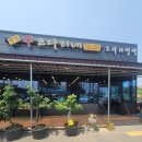 신코다리네
