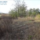 에이스목장 이미지