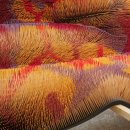 디자인 | ‘우리는 카펫을 만든다[We Make Carpets]’_ [ISSEY MIYAKE]와 협업 | 한국디자인진흥원 이미지