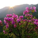 지리산모터스 이미지