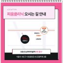 서초중앙로 43 이미지