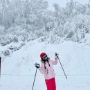 하이원콘도미니엄 이미지