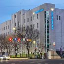 365보배약국 이미지