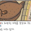 [195] '가자미'와 '가재미' 이미지