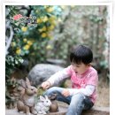 다람쥐풀스튜디오