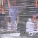 소나기성인용품 이미지