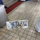 솔향 | [강원도-강릉] 강릉항회센터 솔향 방문 솔직후기