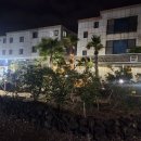 뜰이야기 | 제주도 이틀 동안 묵었던 숙소 이야기 : 물뜰에쉼팡 &amp; 브라운캐빈 후기