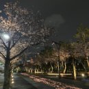 부경대학교 농구장 네이버블로그