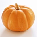 신사동-14 이미지