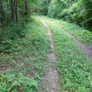 수림1교 이미지