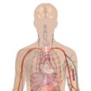 양산부부한의원 이미지