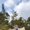 태안군청소년수련관 | 태안 백화산 등산코스(태안군청소년수련관~백화산정상~원점회귀, 반려견동반)