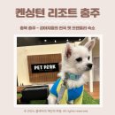 펫 유토피아 | 충북 충주/애견동반 - 켄싱턴 리조트 충주 프라이빗 프리미어 펫 강아지들의 유토피아