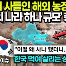 이륙농장 이미지