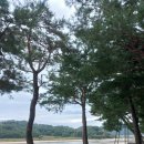 [예천문경여행]선몽대-뽕뽕다리-용궁단골식당-문경철로자전거진남역-진남교반-문경새재오픈세트장