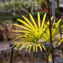 안산식물원 이미지